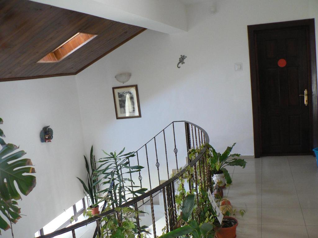 Casa Havana (adults Only) *