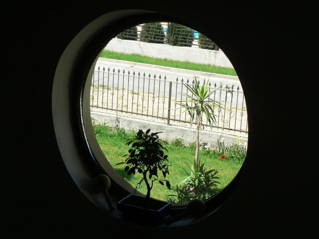 Casa Havana (adults Only) קוסטינסטי
