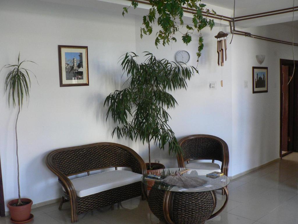 Casa Havana (adults Only) * קוסטינסטי