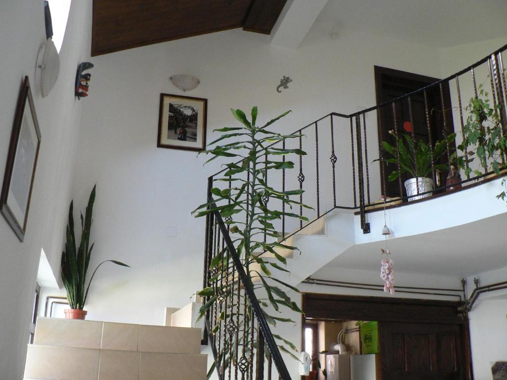 Casa Havana (adults Only) בית הארחה