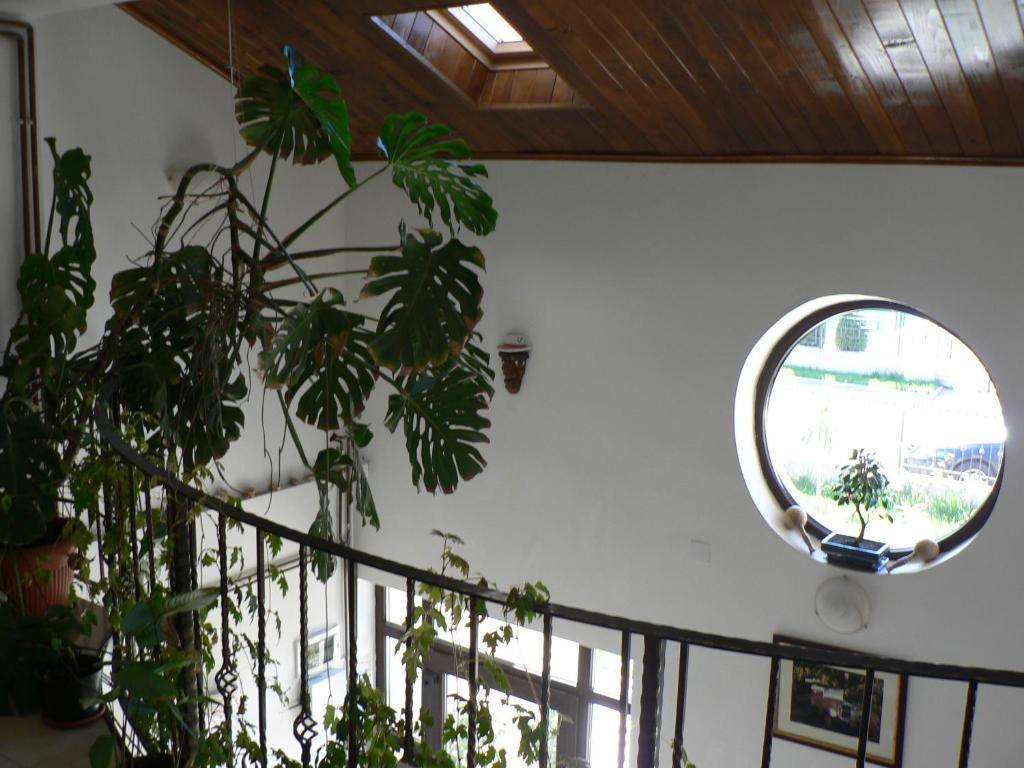 Casa Havana (adults Only) בית הארחה *